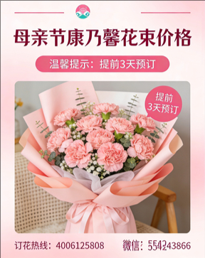 邵阳大祥区花店母亲节康乃馨花束