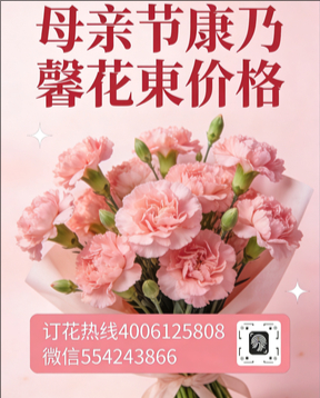 邵阳大祥区花店母亲节康乃馨花束
